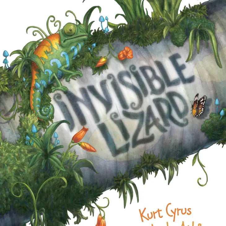 0007-28-Invisible Lizard Picture Book(17)