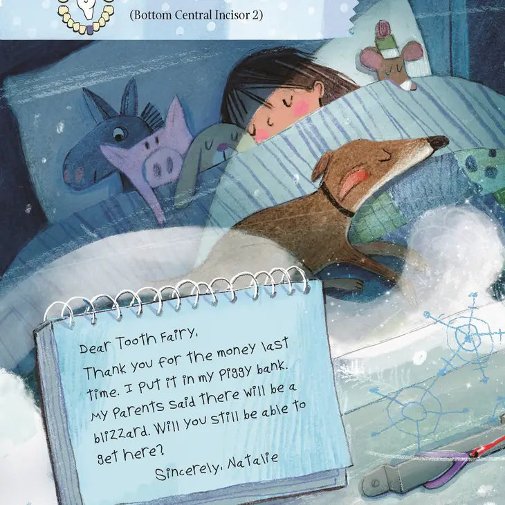 0007-29-Letters from My Tooth Fairy Picture Book(17)